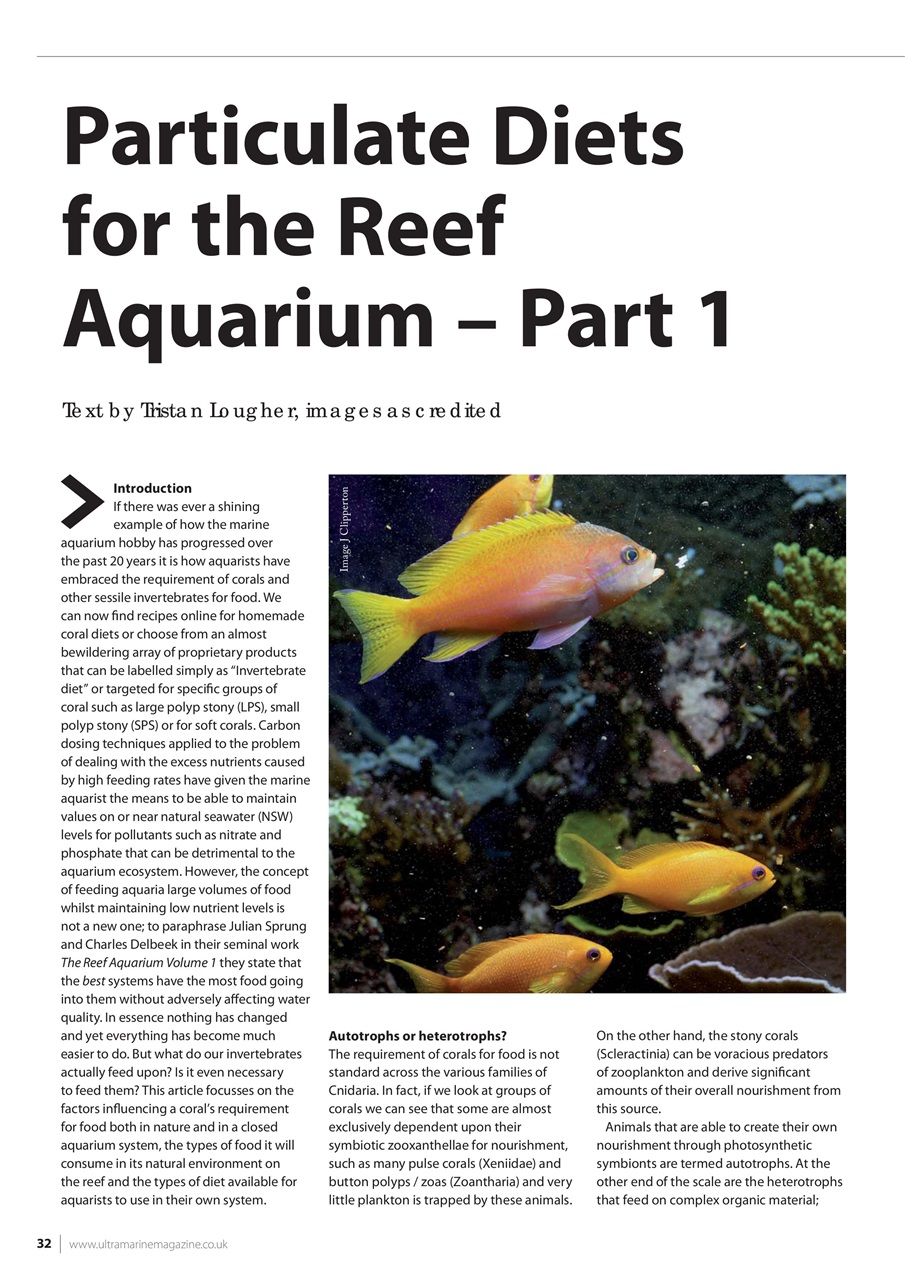 UltraMarine Magazine Preview Pages