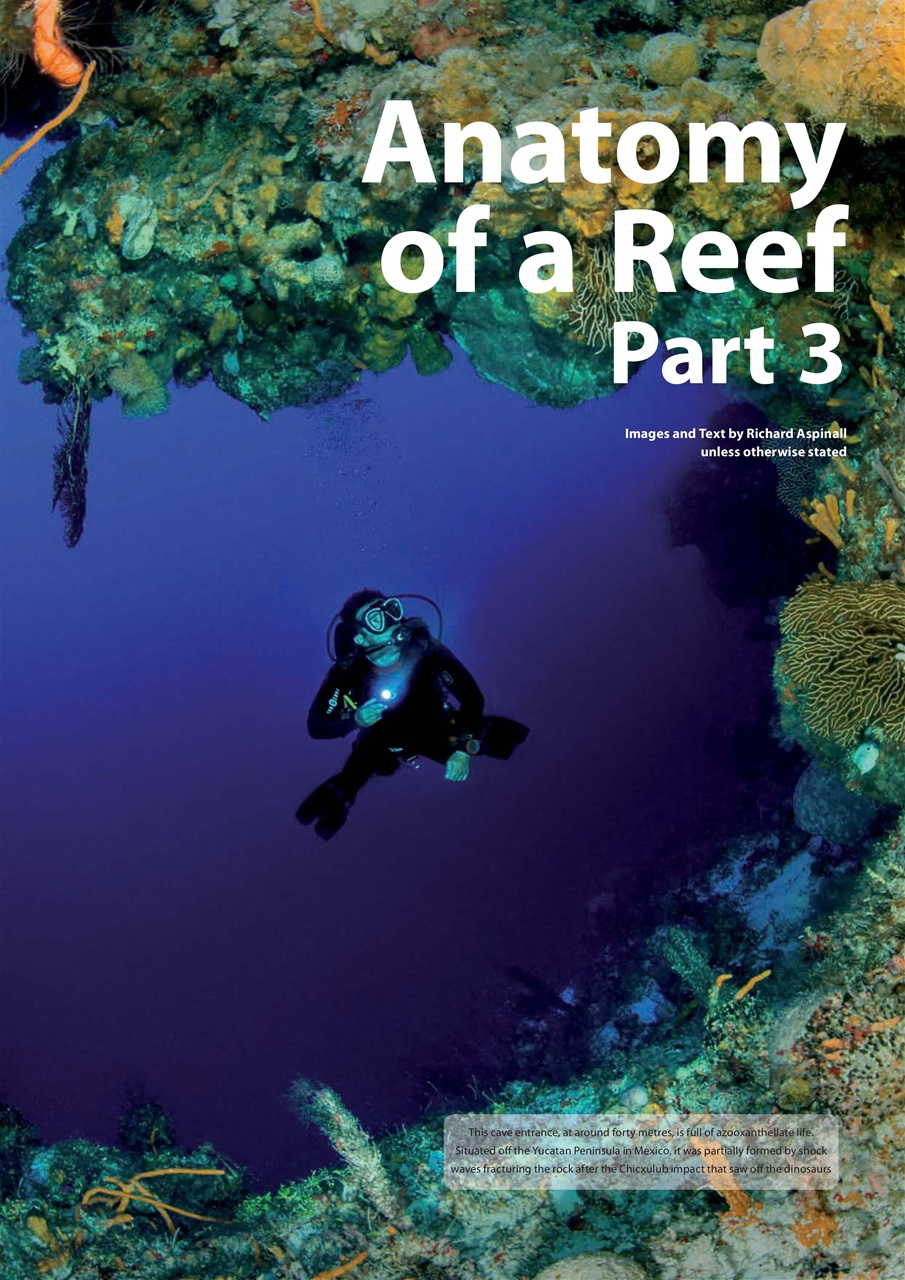 UltraMarine Magazine Preview Pages