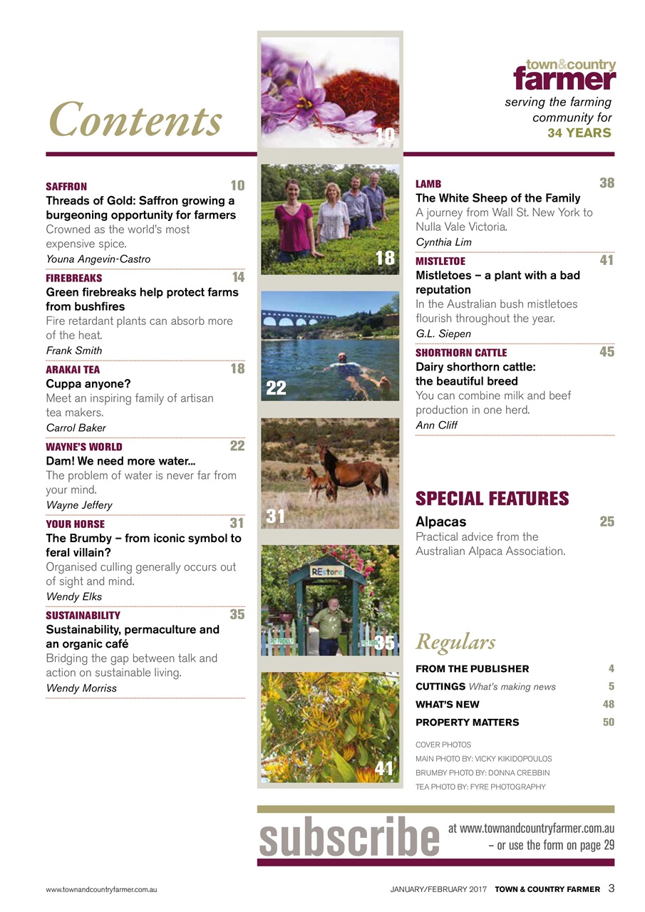 Town And Country Farmer Preview Pages