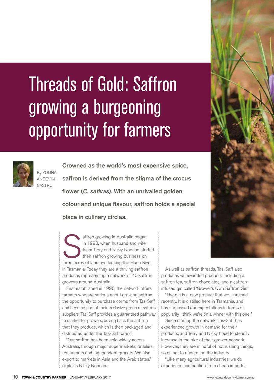 Town And Country Farmer Preview Pages