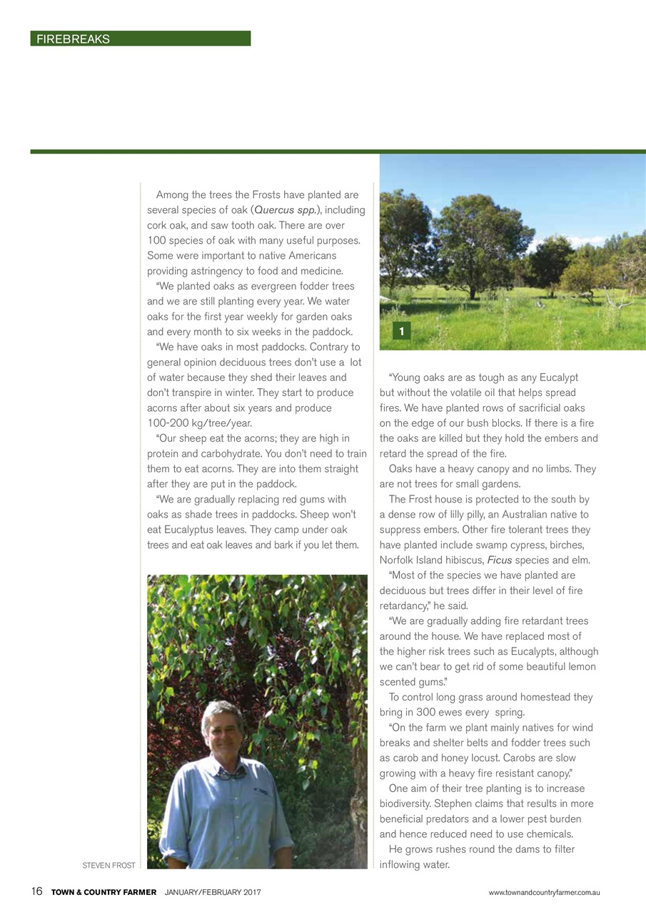 Town And Country Farmer Preview Pages