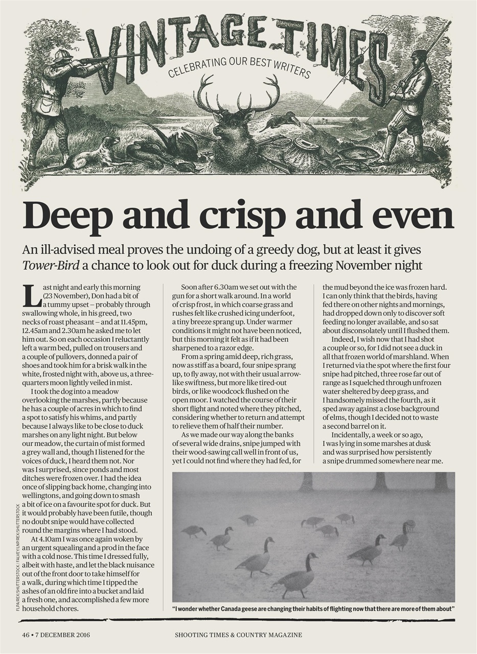 Shooting Times & Country Preview Pages