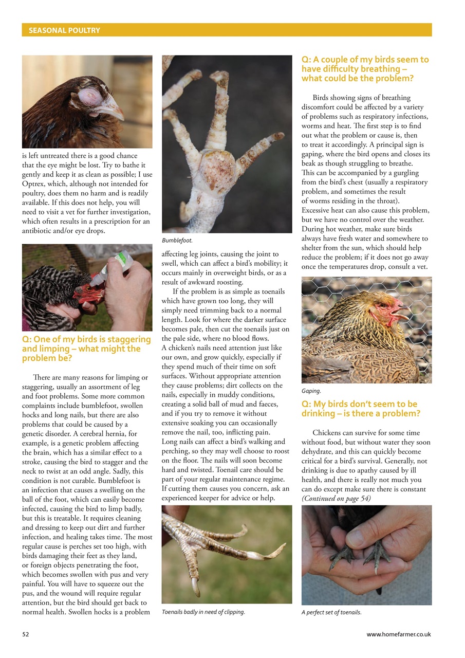 Home Farmer Magazine Preview Pages