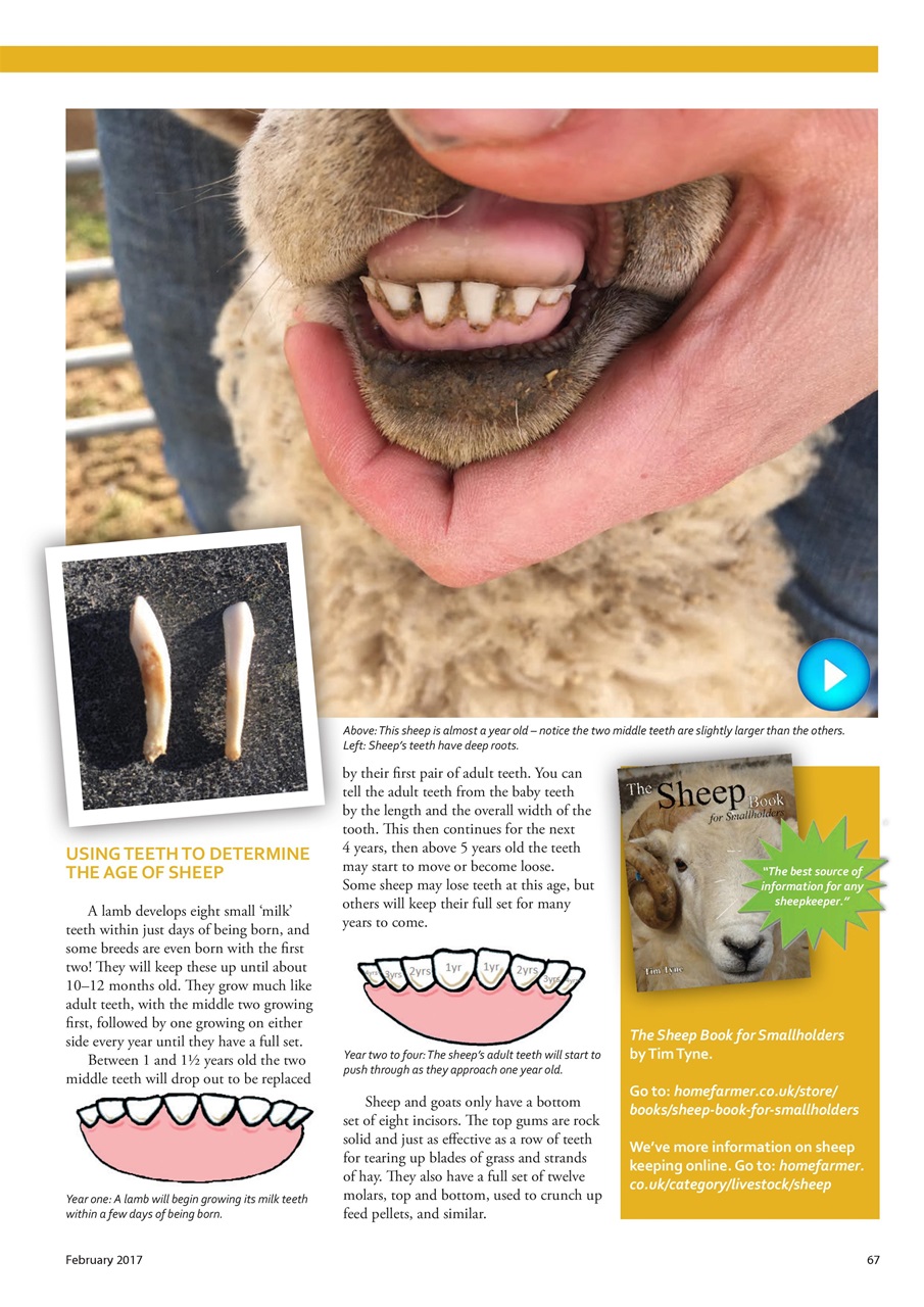 Home Farmer Magazine Preview Pages