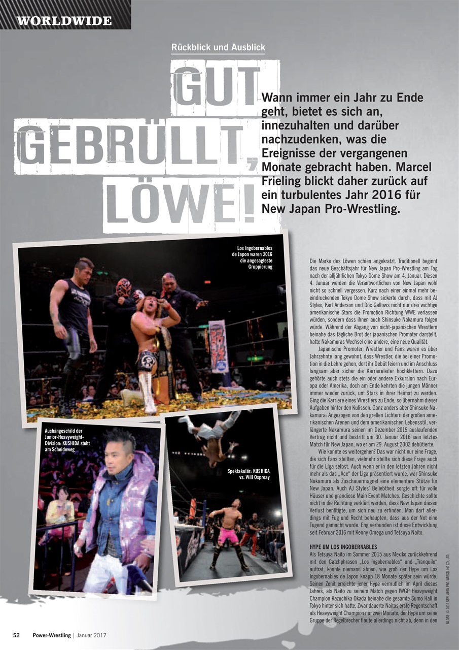 Power-Wrestling Preview Pages