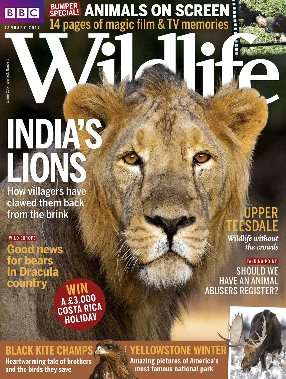 BBC Wildlife Magazine Preview Pages