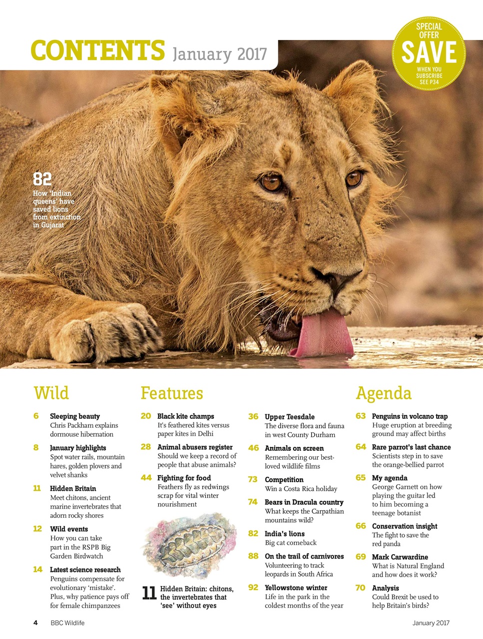 BBC Wildlife Magazine Preview Pages