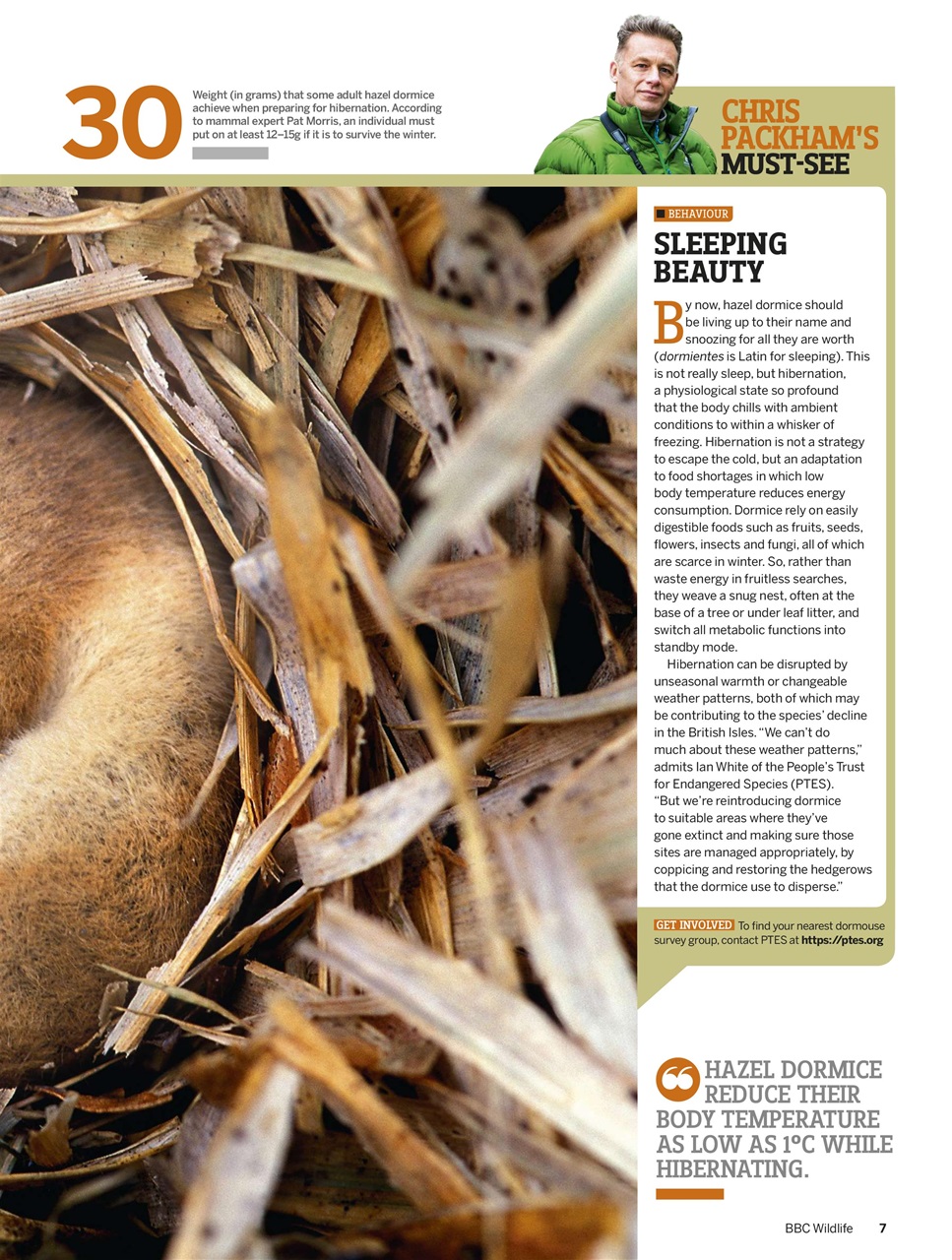 BBC Wildlife Magazine Preview Pages