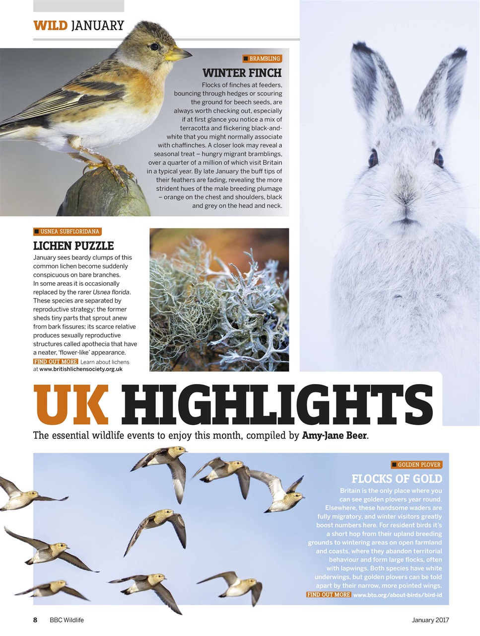 BBC Wildlife Magazine Preview Pages