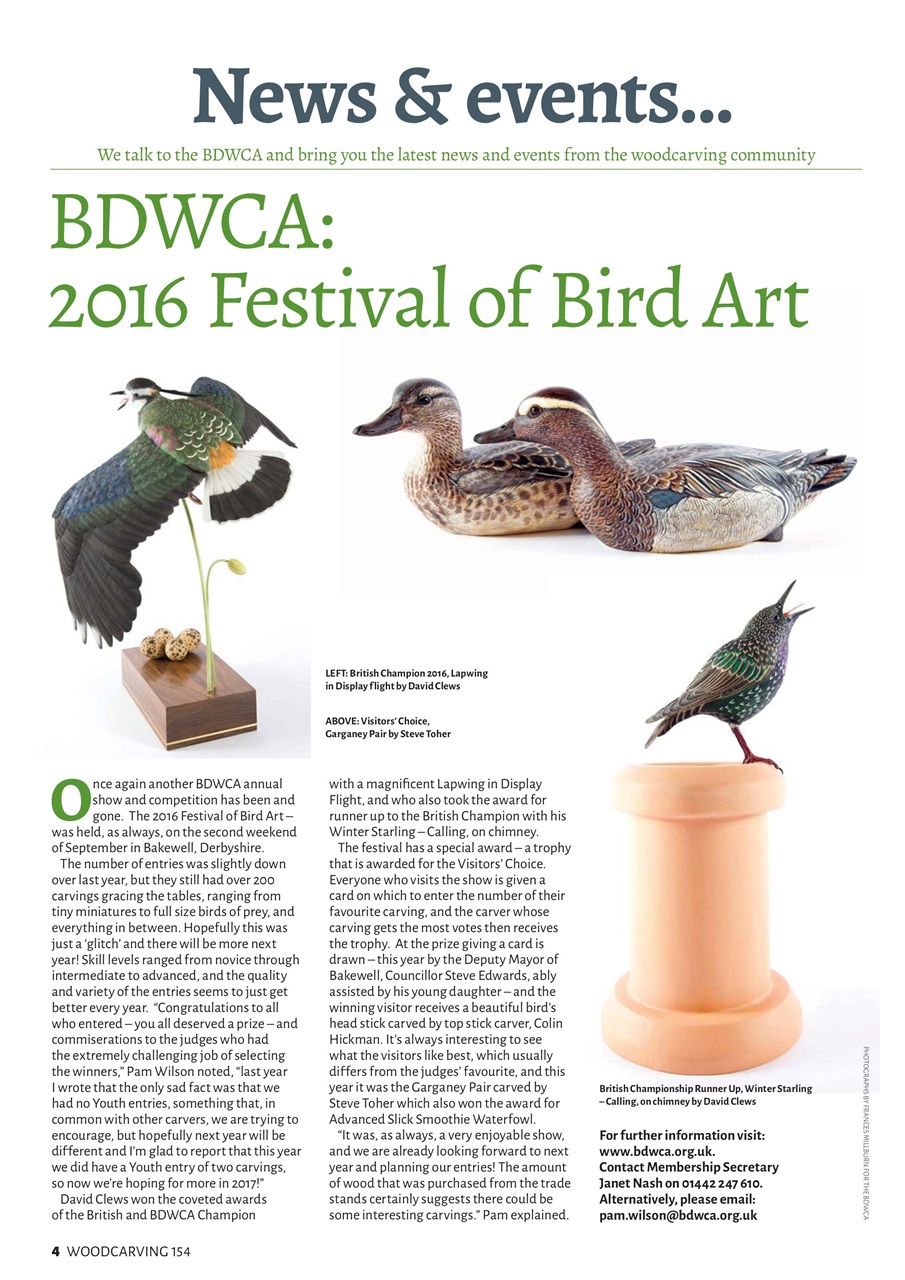 Woodcarving Preview Pages