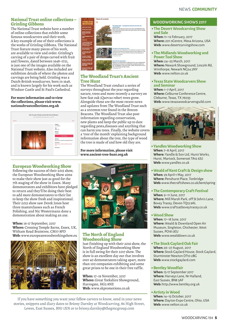 Woodcarving Preview Pages