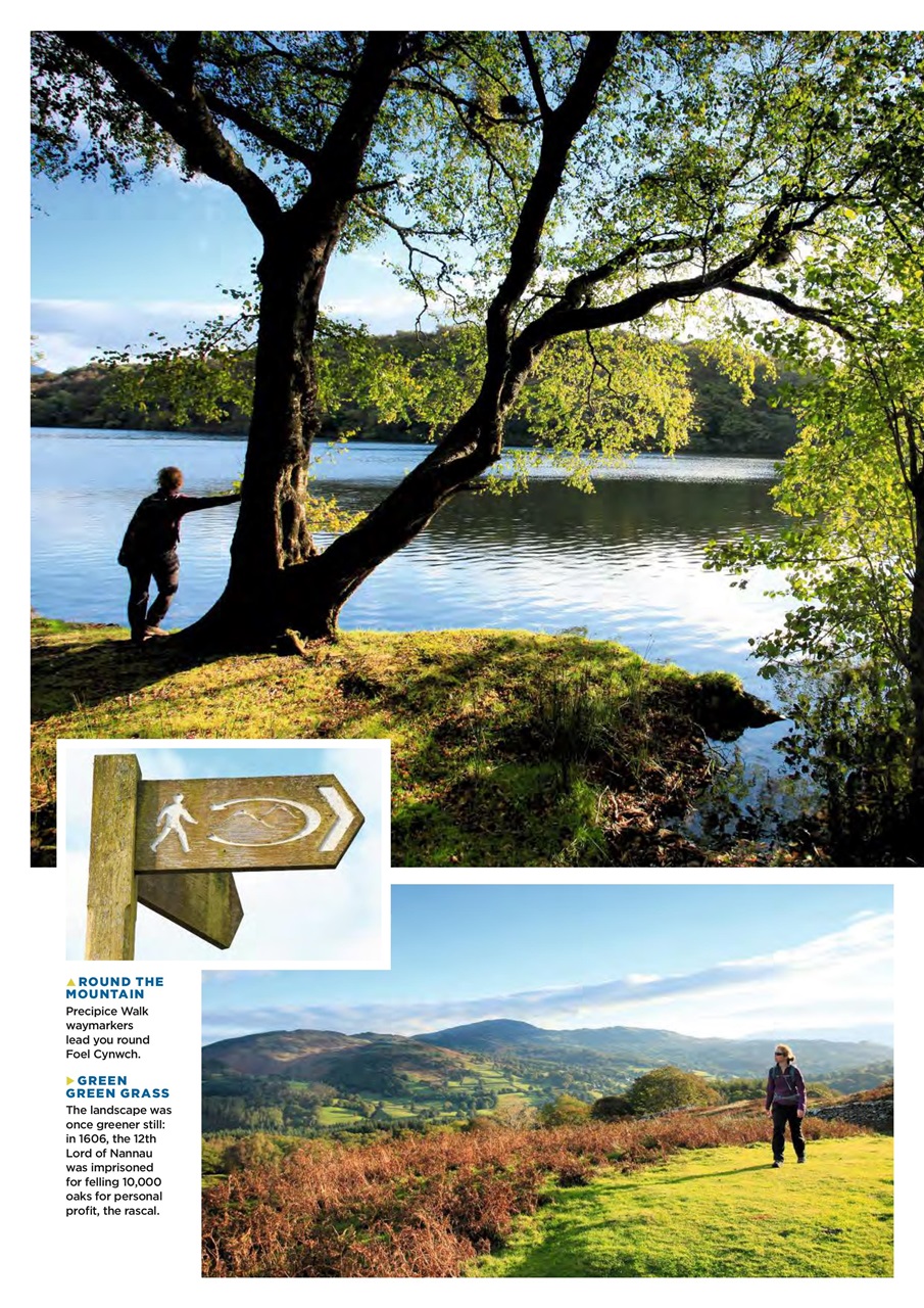 Country Walking Preview Pages