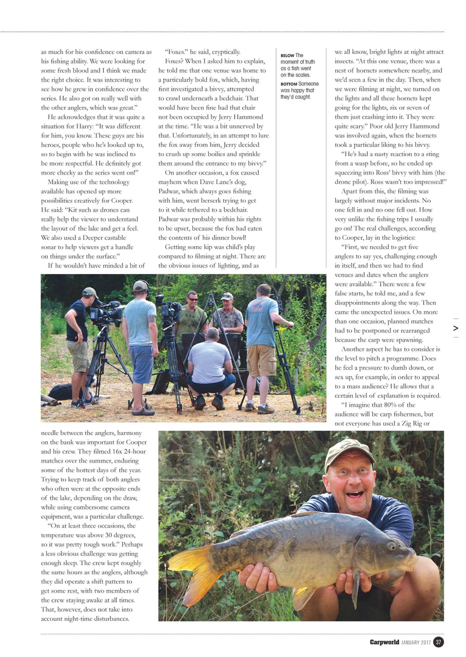Carpworld Preview Pages