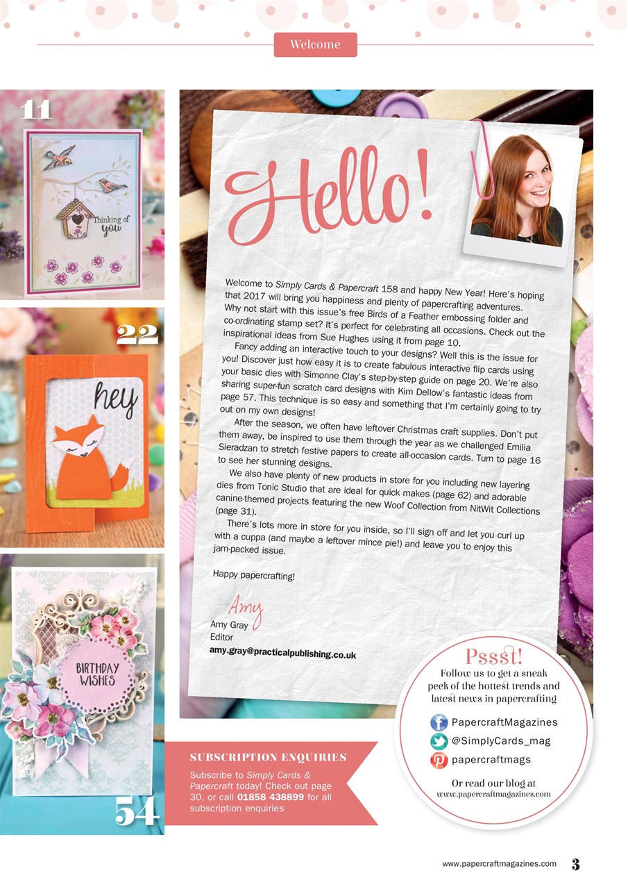 Simply Cards & Papercraft Preview Pages