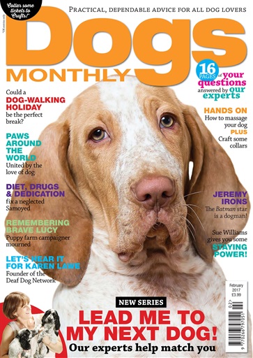 Dogs Monthly issue 