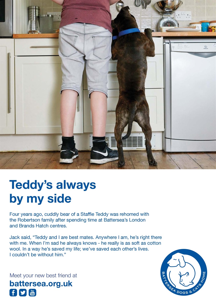 Dogs Monthly Preview Pages