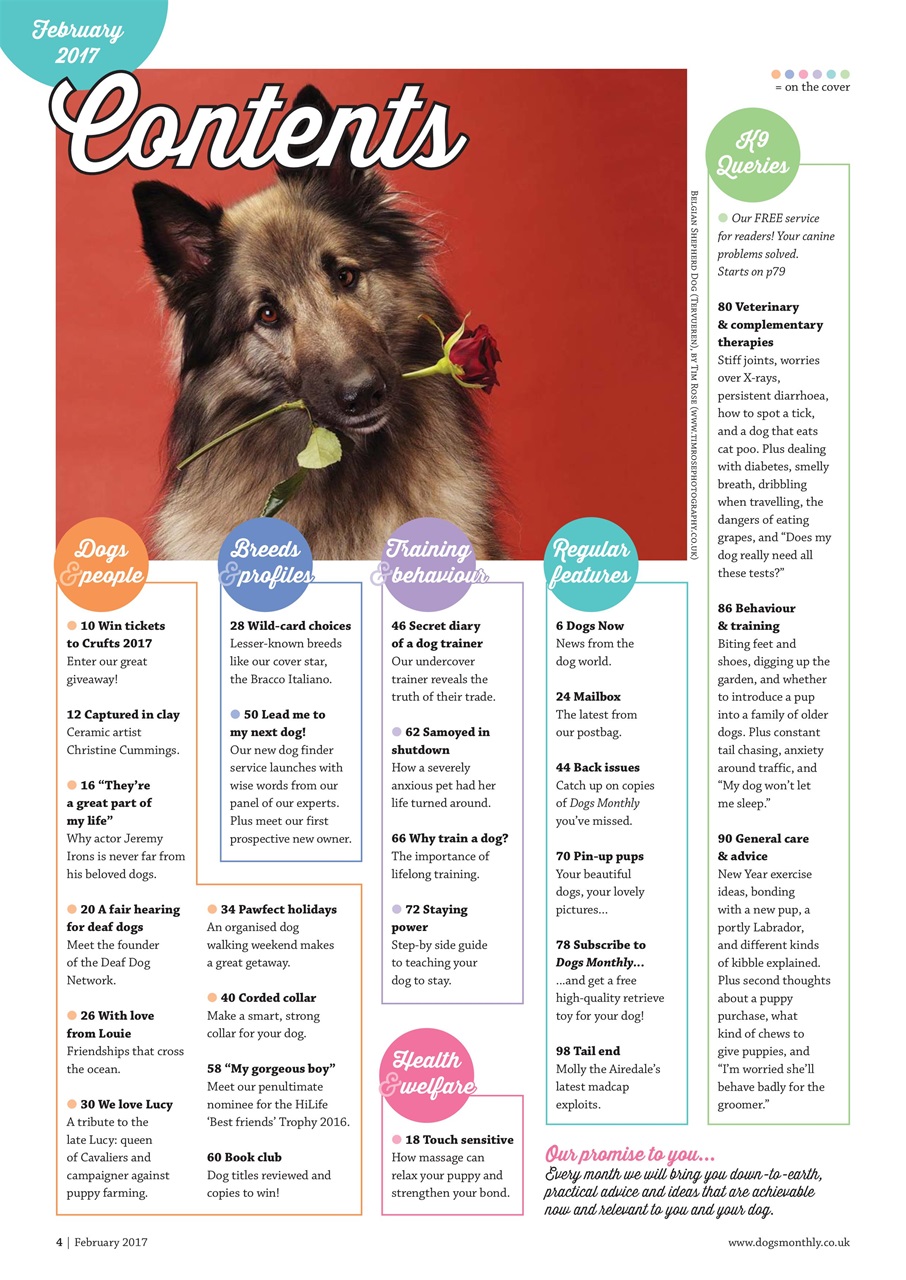 Dogs Monthly Preview Pages