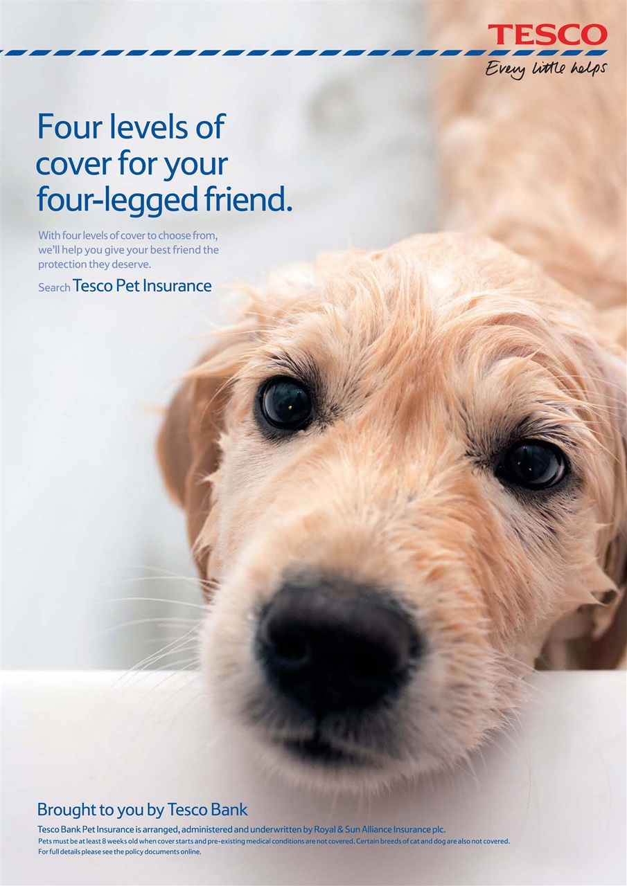 Dogs Monthly Preview Pages