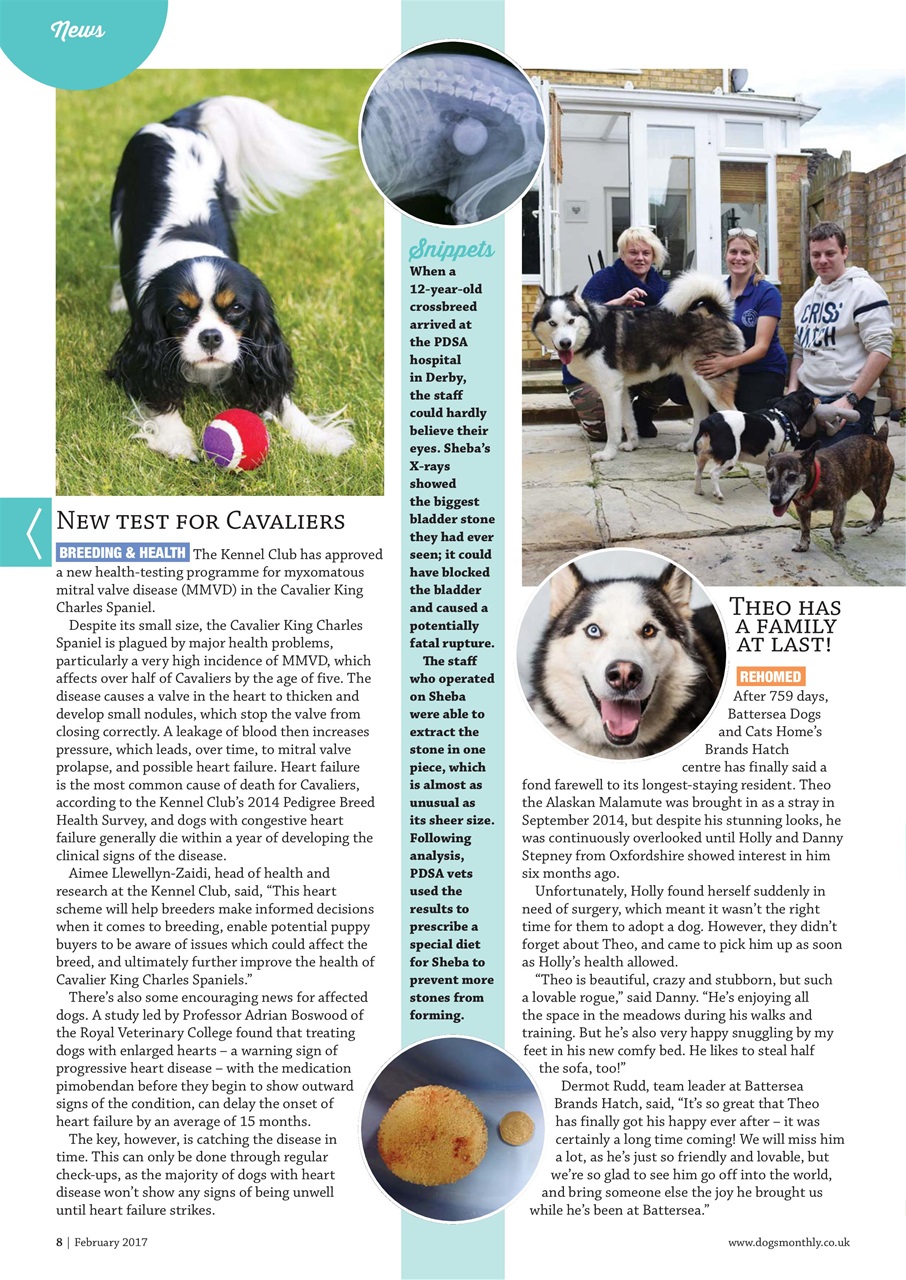 Dogs Monthly Preview Pages
