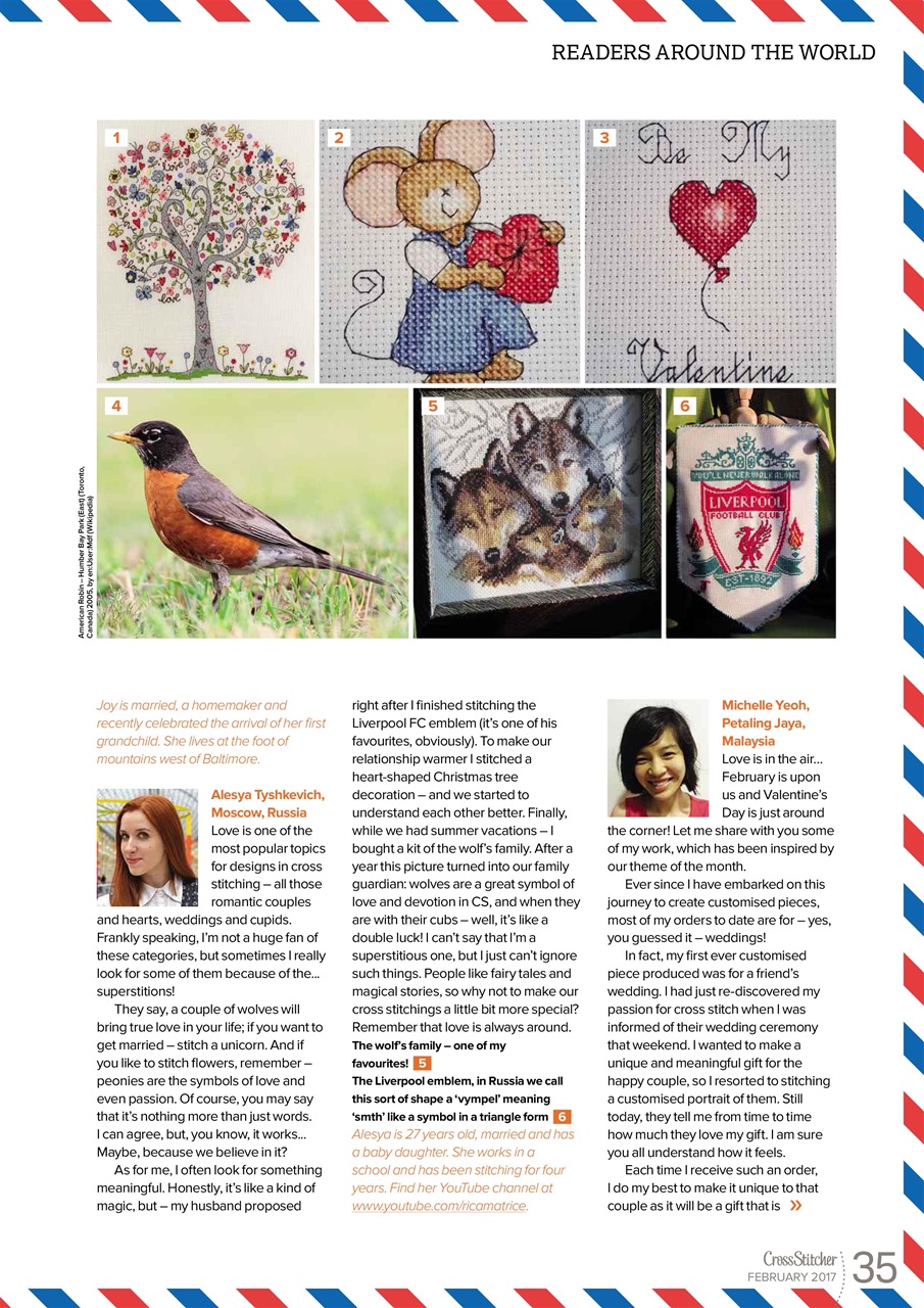 CrossStitcher Preview Pages