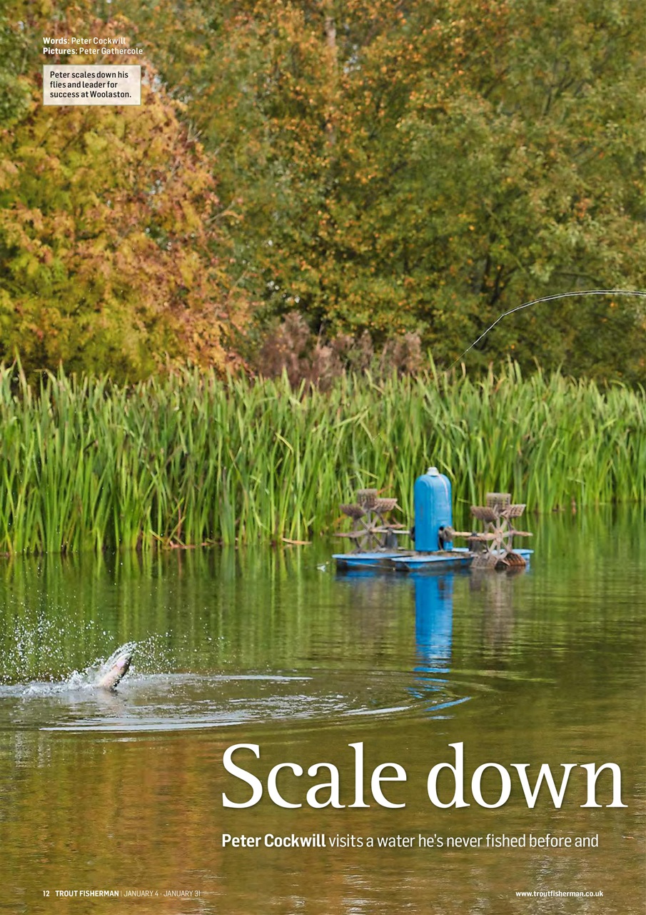 Trout Fisherman Preview Pages