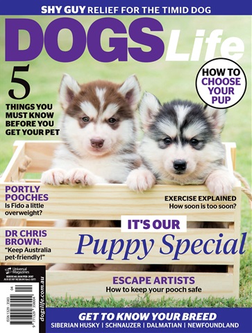 Dec Issue#141 2016 issue Dec Issue#141 2016