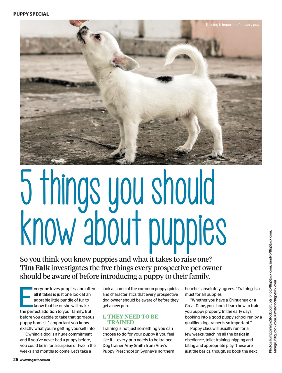 Dogs Life Preview Pages