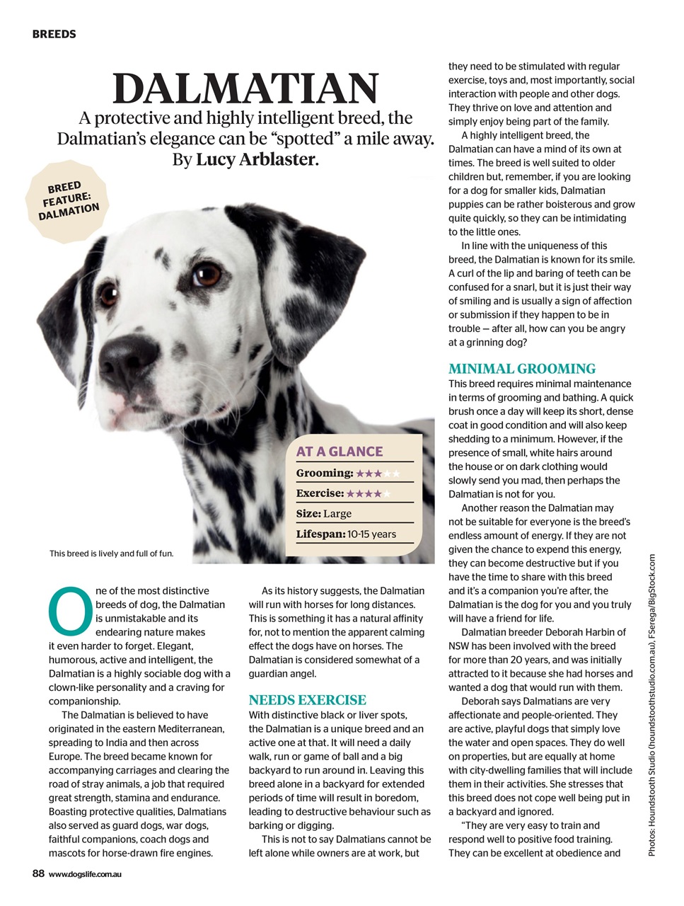 Dogs Life Preview Pages