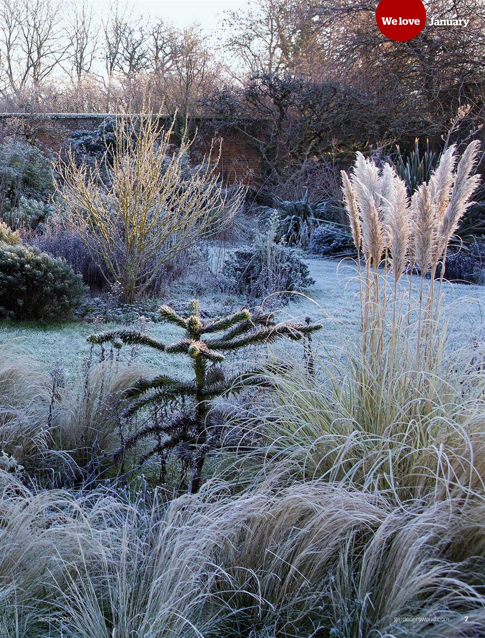 BBC Gardeners’ World Magazine Preview Pages