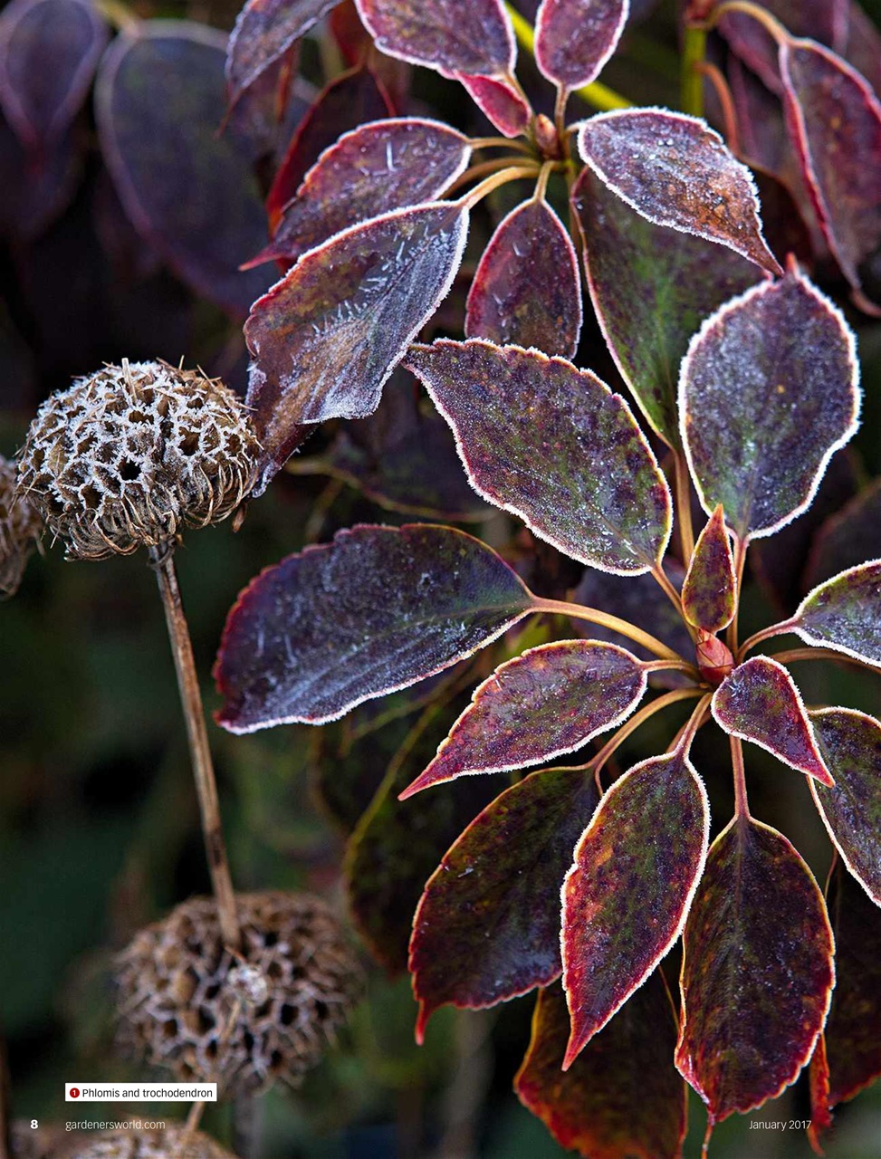 BBC Gardeners’ World Magazine Preview Pages