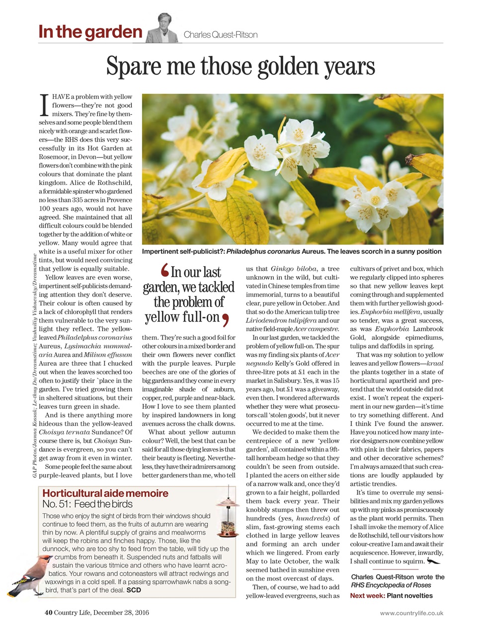 Country Life Preview Pages