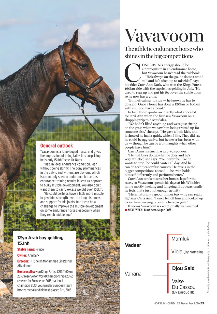 Horse & Hound Preview Pages