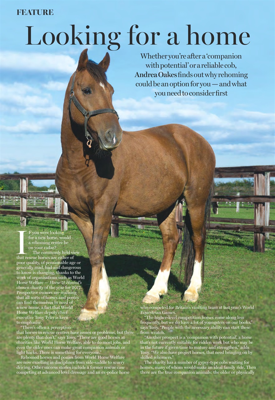 Horse & Hound Preview Pages