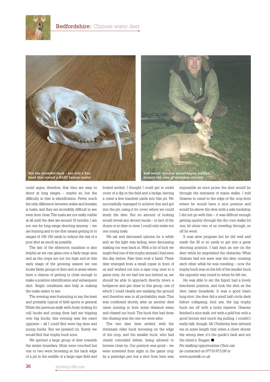 Sporting Rifle Preview Pages