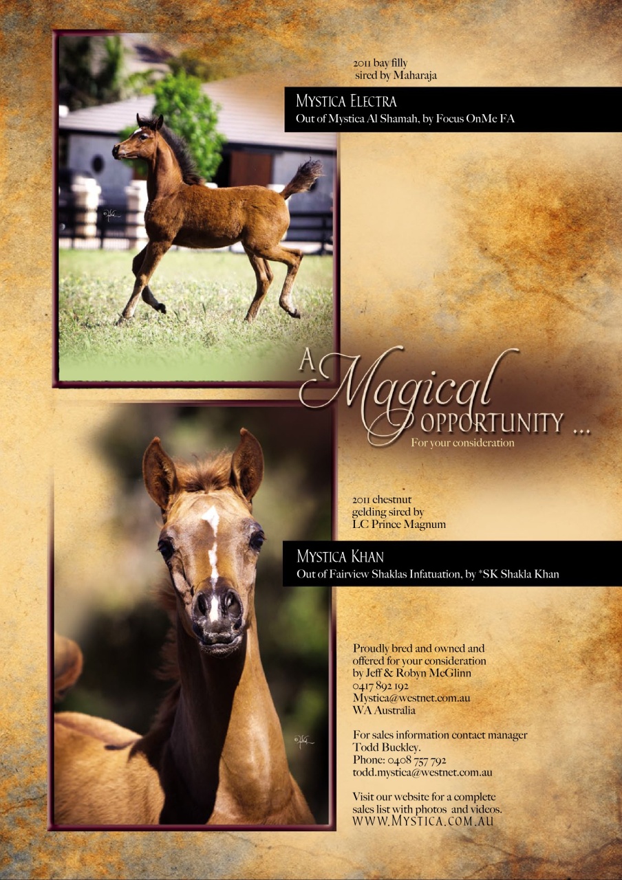 Australian Arabian Horse News Preview Pages