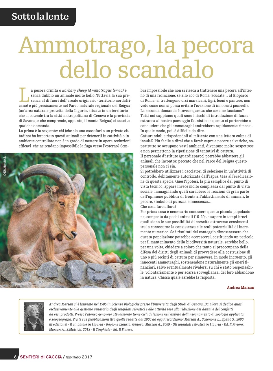 SENTIERI DI CACCIA Preview Pages
