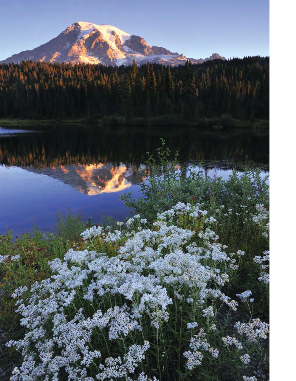 American Road Preview Pages