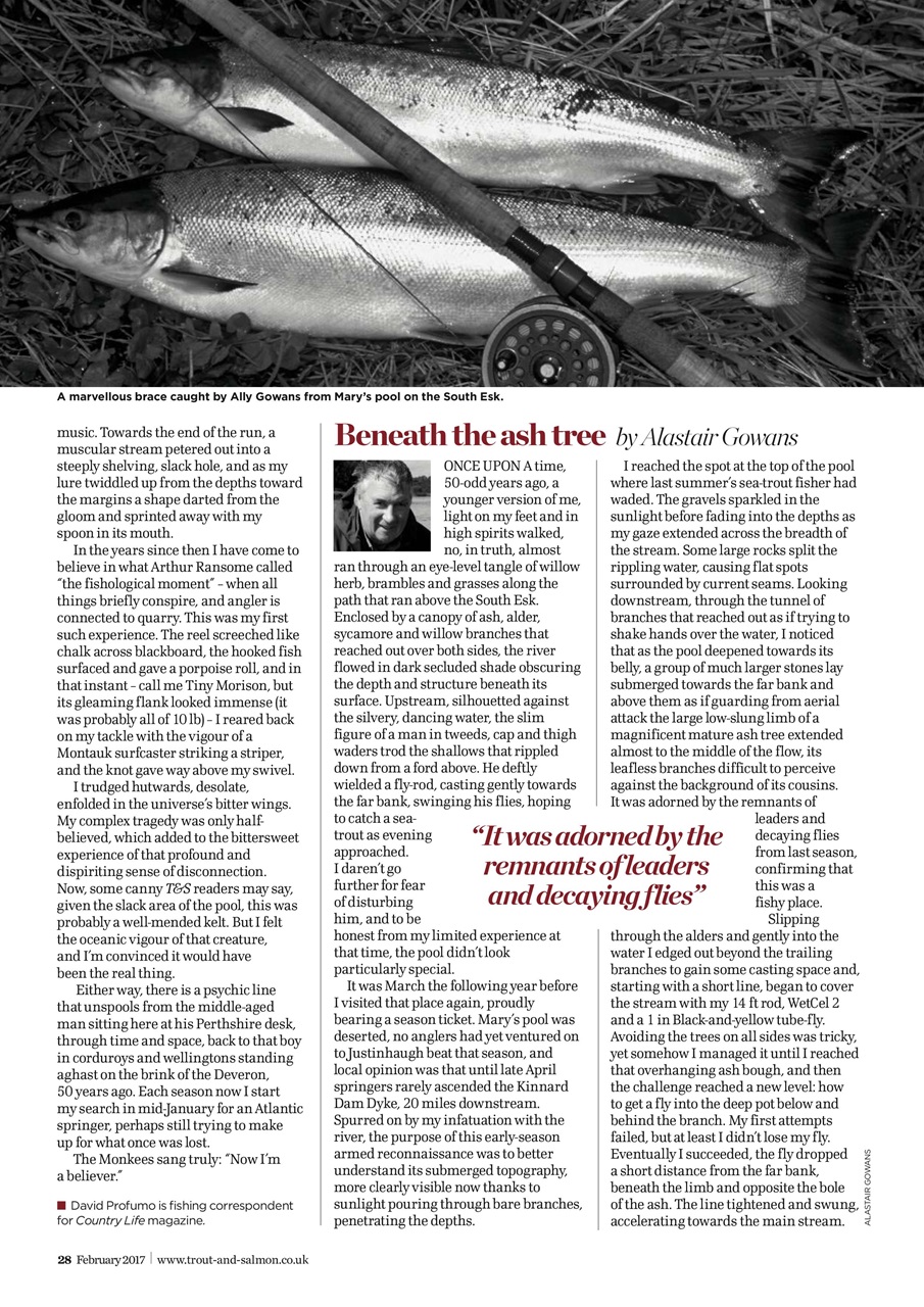 Trout & Salmon Preview Pages