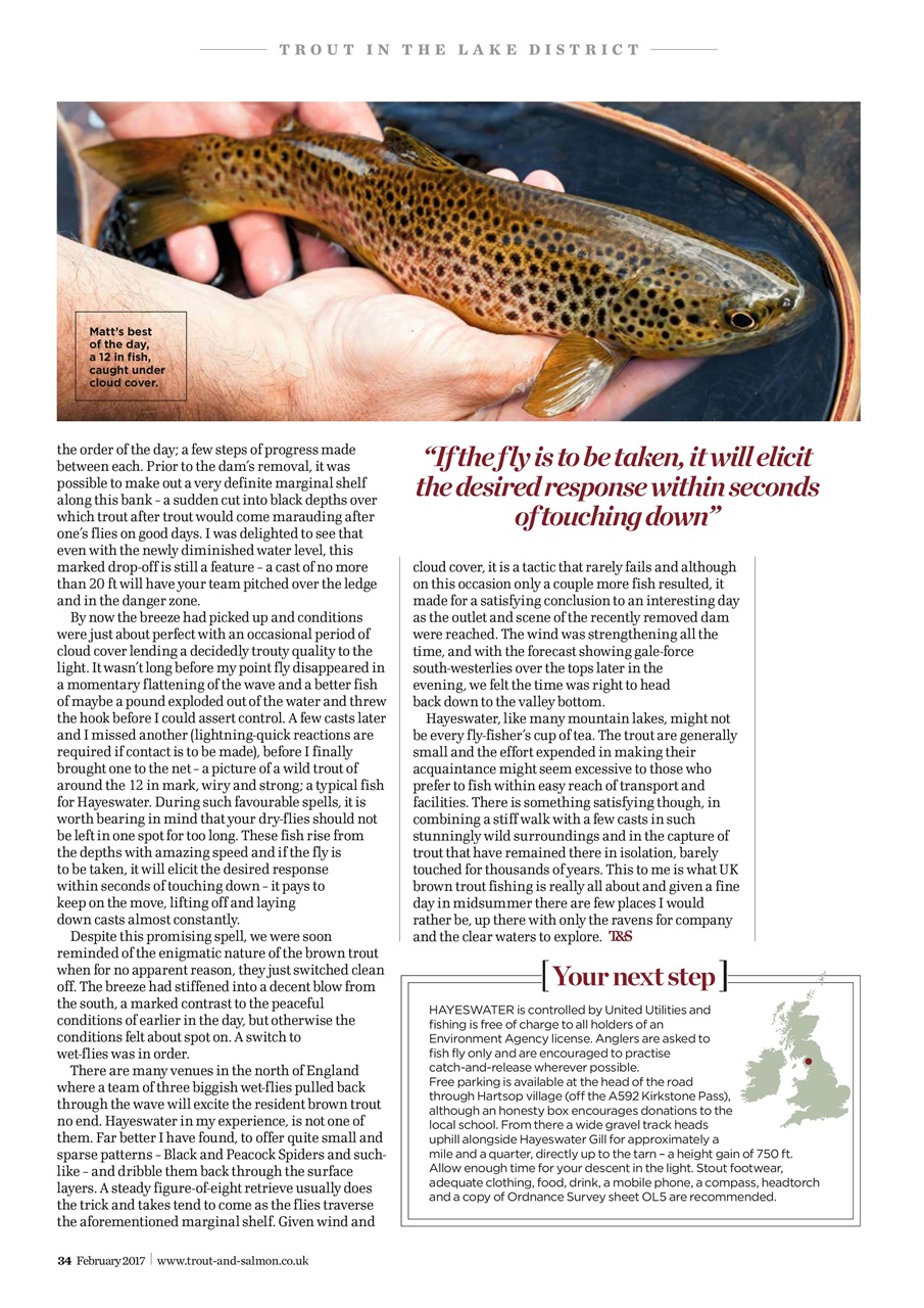 Trout & Salmon Preview Pages