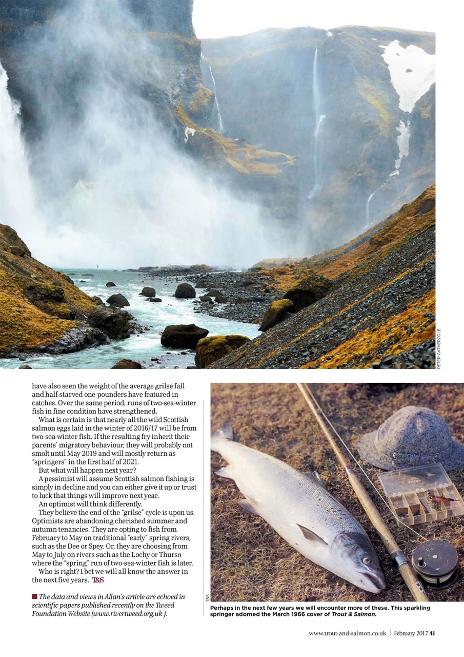 Trout & Salmon Preview Pages