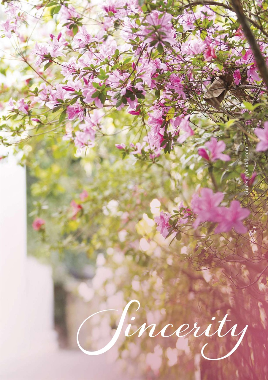 Perfect Wedding Preview Pages