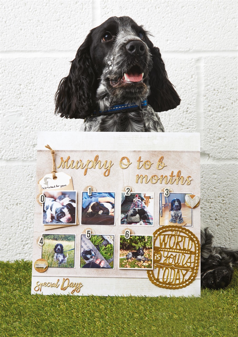 docrafts® Creativity Preview Pages