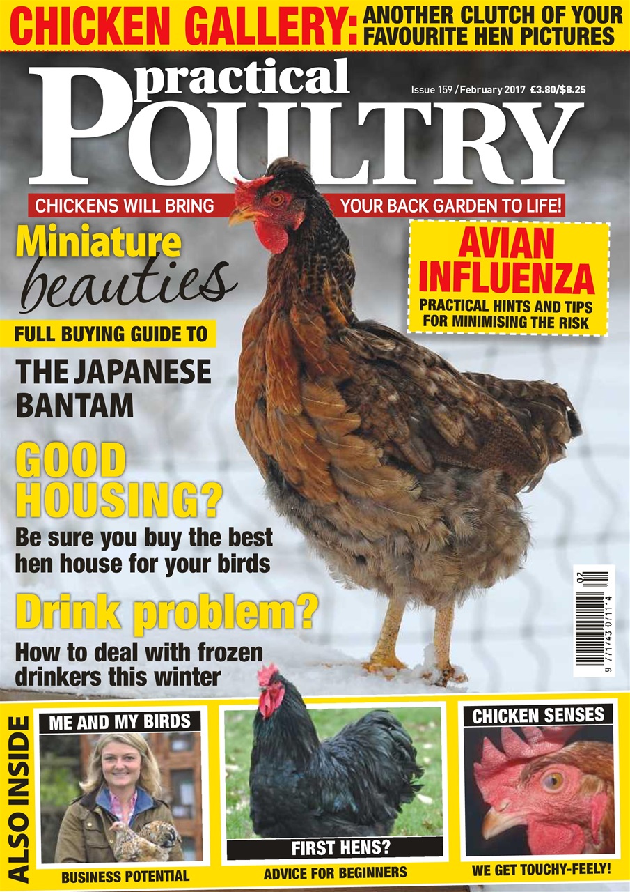 Practical Poultry Preview Pages