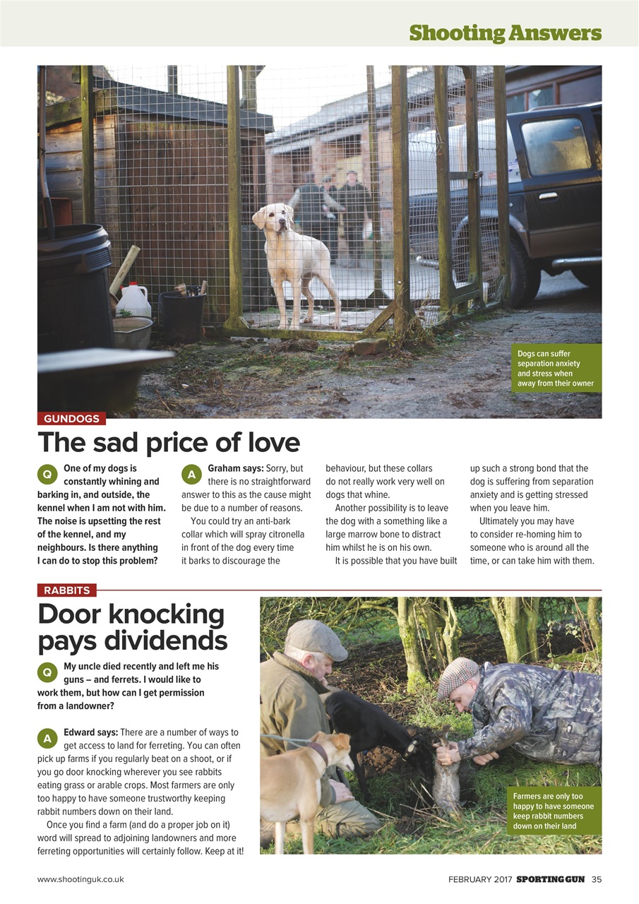 Sporting Gun Preview Pages