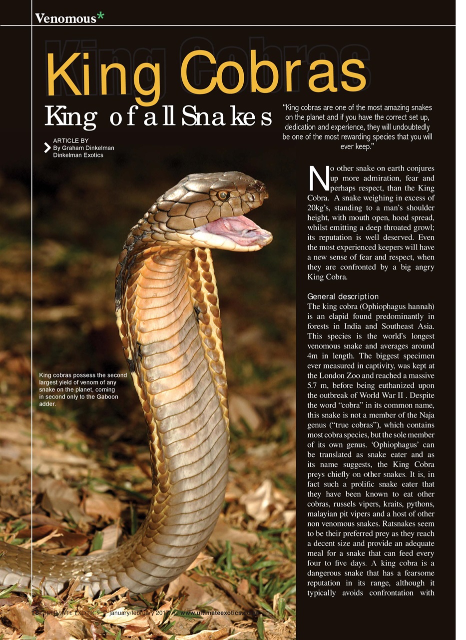 Ultimate Exotics Preview Pages