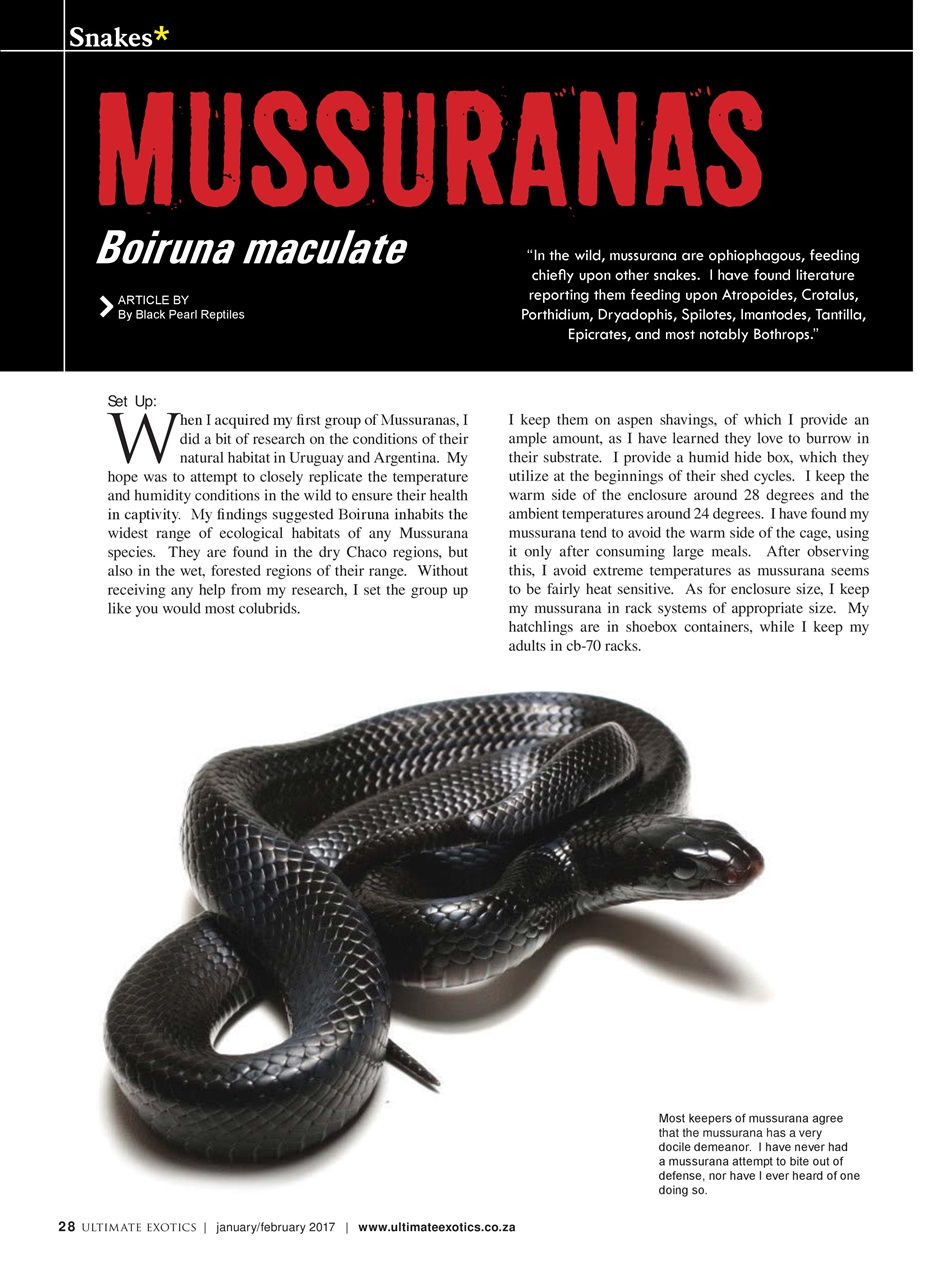 Ultimate Exotics Preview Pages