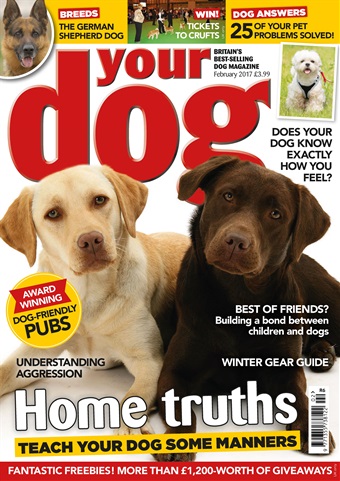 Your Dog issue Your Dog Magazine February 2017