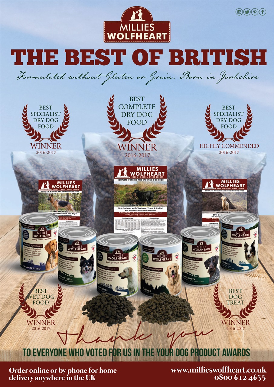 Your Dog Preview Pages