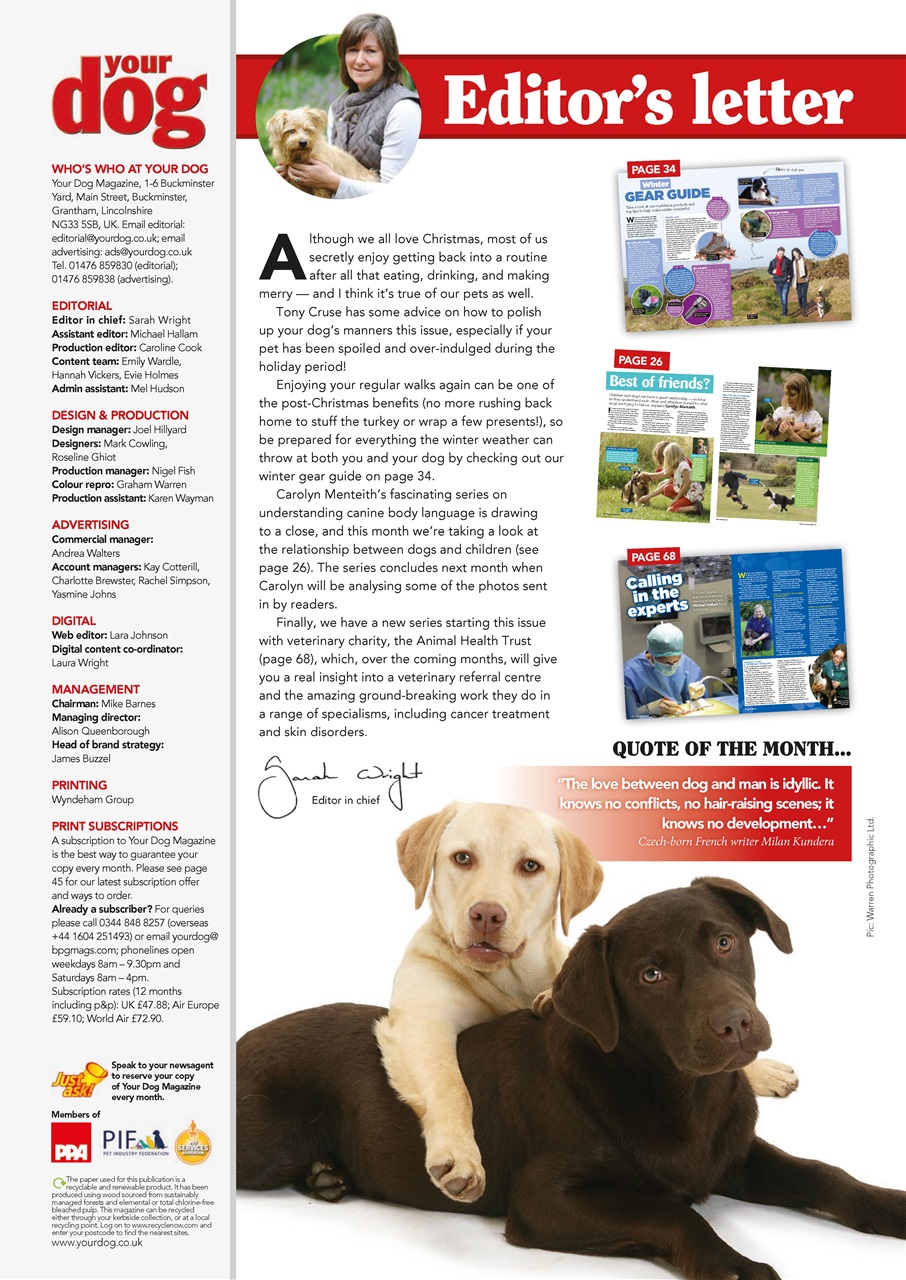 Your Dog Preview Pages