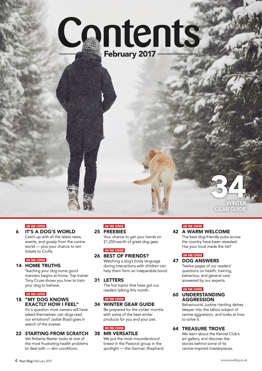 Your Dog Preview Pages